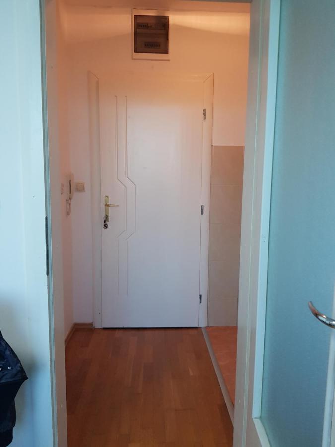 Central Apartment With 24-7 Building Security Novi Sad Eksteriør bilde